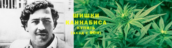 прущие грибы Гусев