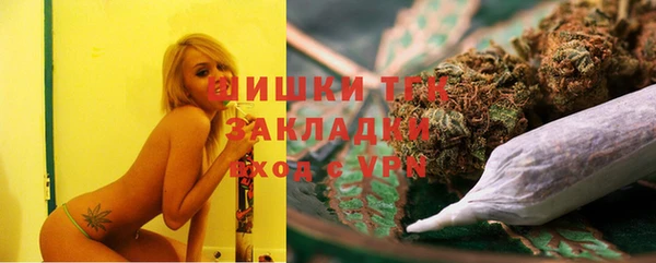 прущие грибы Гусев