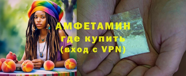 прущие грибы Гусев