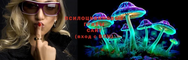 прущие грибы Гусев