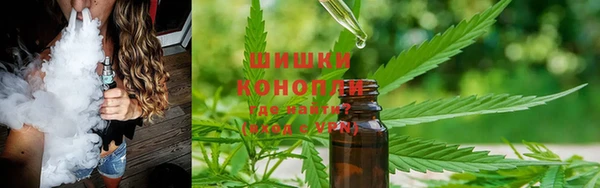 прущие грибы Гусев