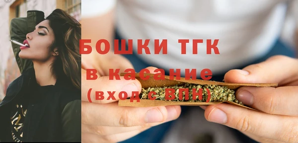 прущие грибы Гусев