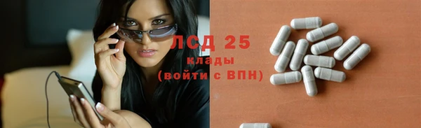 прущие грибы Гусев