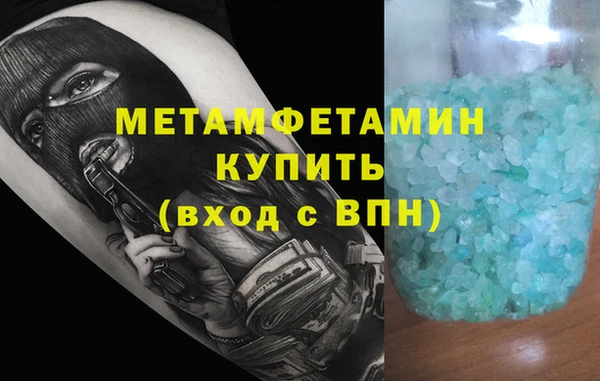 прущие грибы Гусев