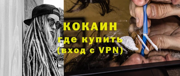 прущие грибы Гусев