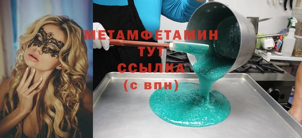 прущие грибы Гусев