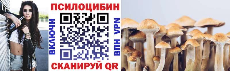 Псилоцибиновые грибы Psilocybe  магазин продажи наркотиков  дарк нет клад  Калининград 